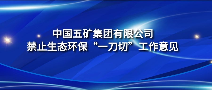 《中國五礦集團(tuán)有限公司禁止生態(tài)環(huán)保“一刀切”工作意見》